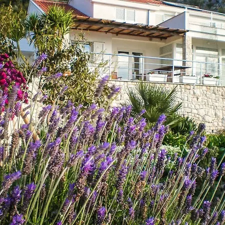 Penzion Apartments Villa Karmen 3*