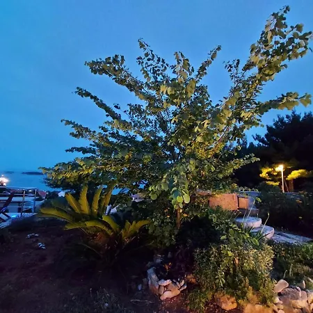 Apartments Villa Karmen オレビック